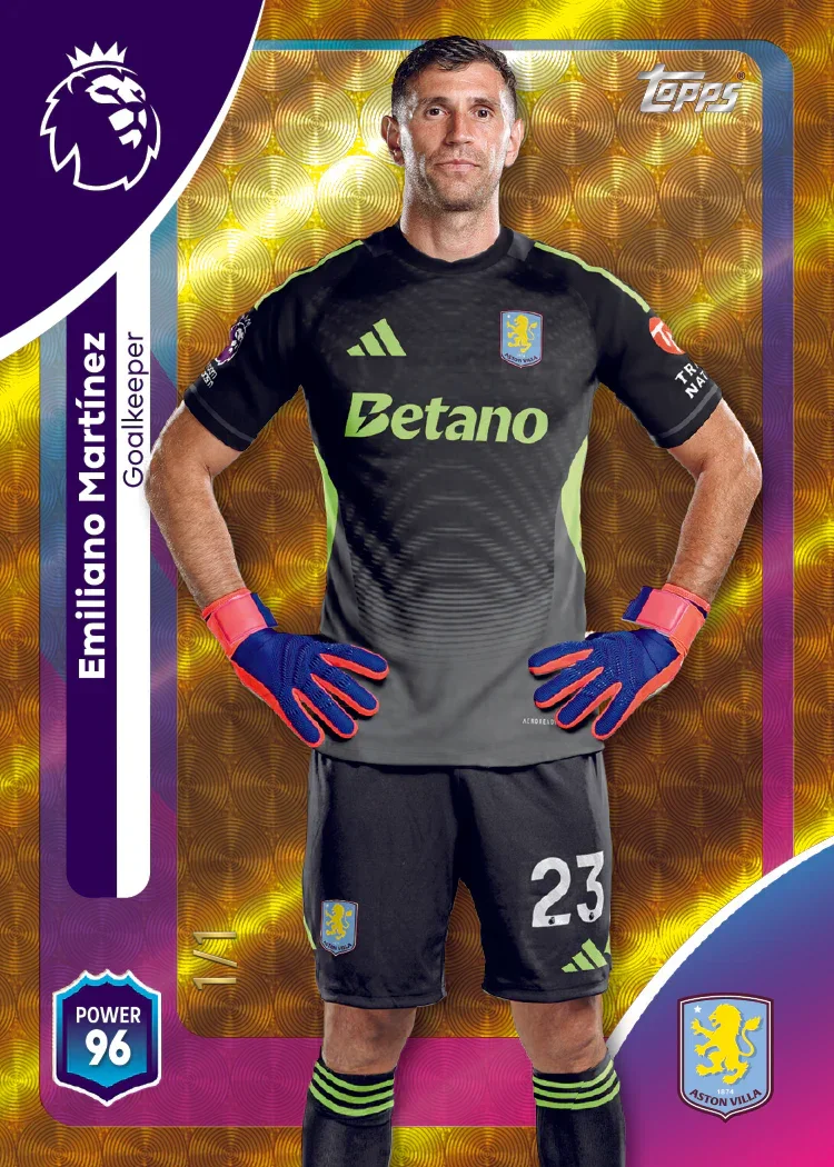 Thumbnail 10